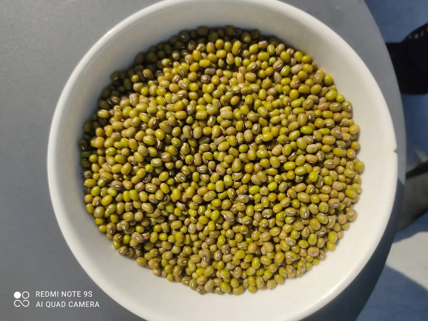 
High Quality New Crop Thailand Green Mung Beans with FORM E for export to China Whatsapp +66992694444 