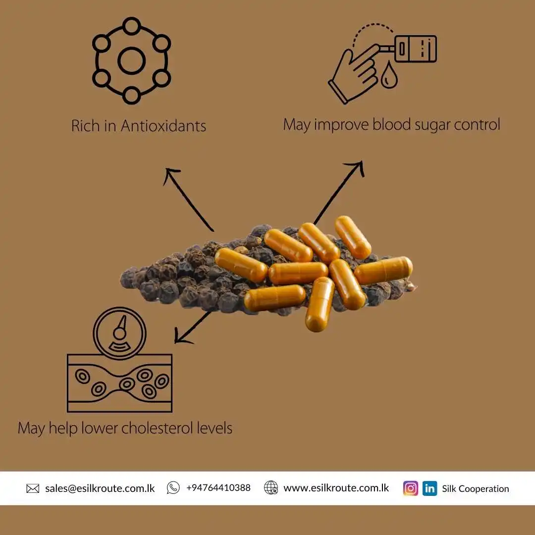 Bulk Selling Superb Quality 100% Pure Natural Organic 95% Piperine Turmeric + Black Pepper Extract