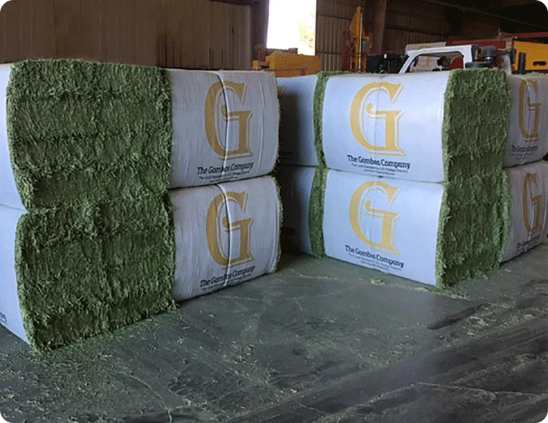 Best Alfalfa Hay Special Prices and Shipping for Gulf Region and Arab Countries