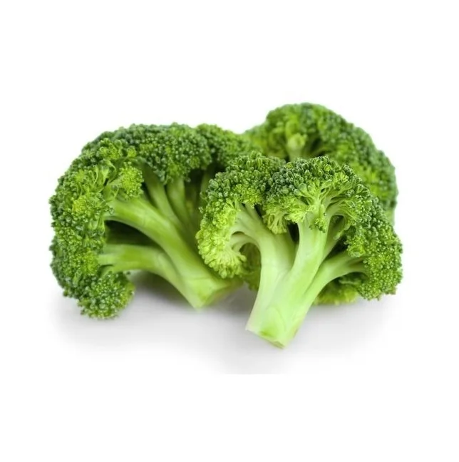 Available Bulk Stock Of Fresh Vegetables Broccoli At Lowest Prices