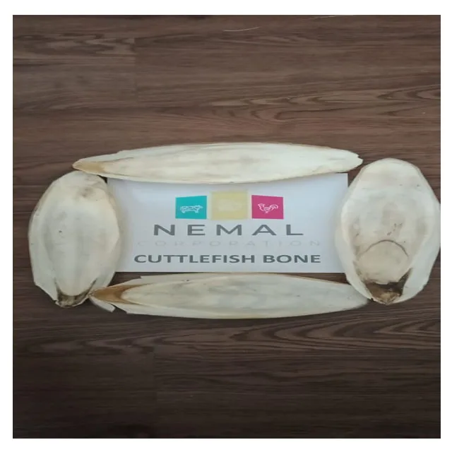 
Quality Cuttlefish Bone , dried Cuttlefish Bone From Nemal Corporation Pakistan 