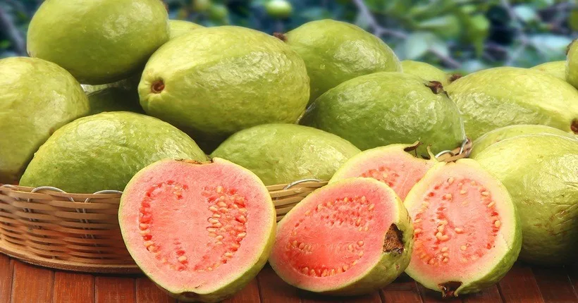 Свежие фрукты гуавы Лучшая цена высокое качество от VIKAFOODS (WhatsApp/ Wechat: + 84 983 028 718)
