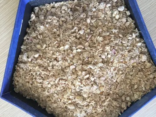 Вьетнамская кукурузная кукуруза кормовая мука порошок кукурузной кукурузы в блоке + 84 896626401