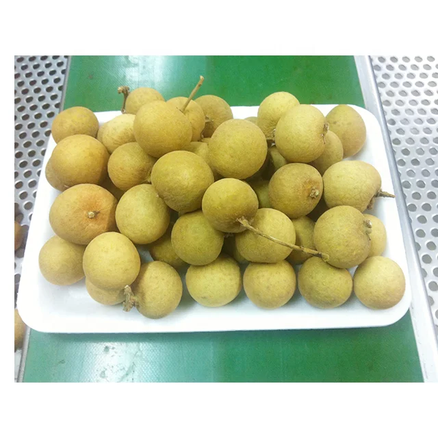 LONGAN Premium Grade 12 Cm 1 Kg Fresh COMMON Cultivation Ripe Maturity from TH;46