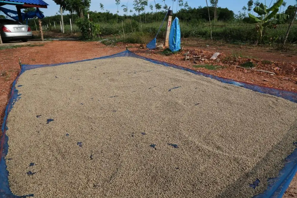 Pet Jar White Pepper