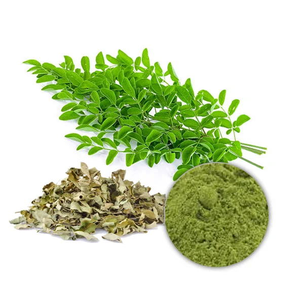 100% Organic Pure Moringa Leaf Extract Powder and Capsules From Indian Manufacturers