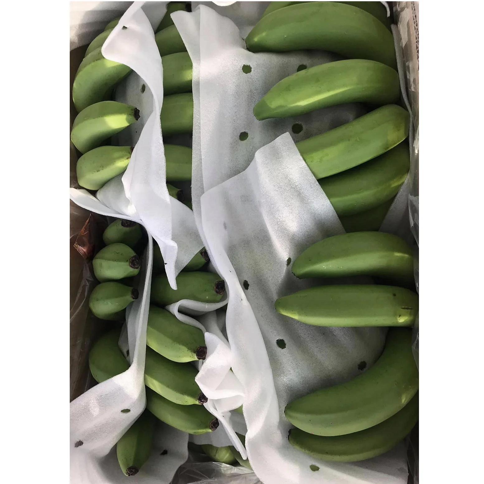 
Wholesale Fresh Bananas / Fresh Cavendish Bananas / Fresh Green Bananas 