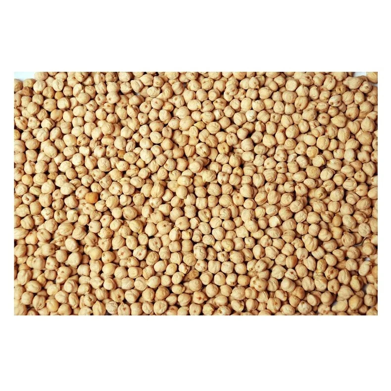 Bulk Quantity Of Raw Dried Chickpeas Available Here At Best Prices