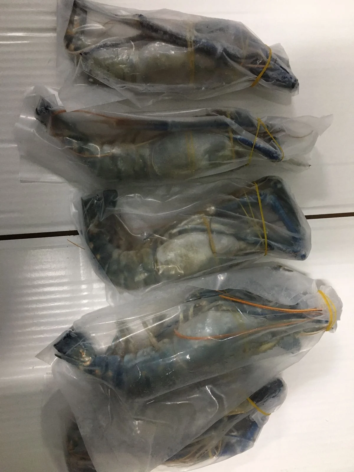 Горячая Распродажа вкусных мороженых свежей воды SCAMPI HOSO из бангладеш