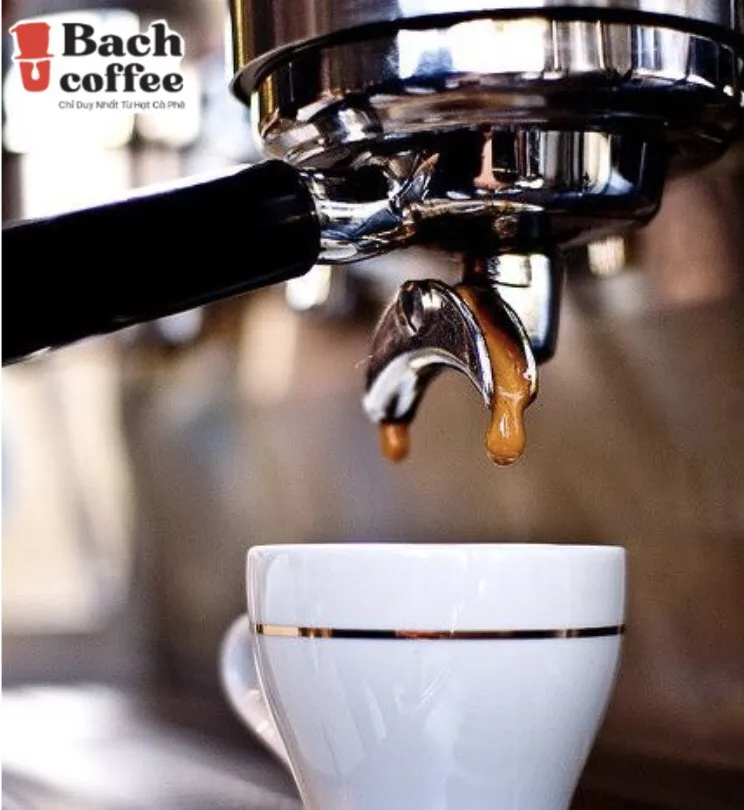 High Altitude Specialty Whole Bean Coffee Medium Roast -  Best Arabica Coffee Beans  Coffee For Espresso, Cold Brew and more