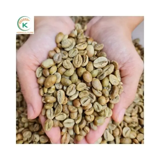 Vietnam Green Bean Coffee Best Price Arabica Beans For Worldwide Importer Raw Coffee Beans Of High Quality.