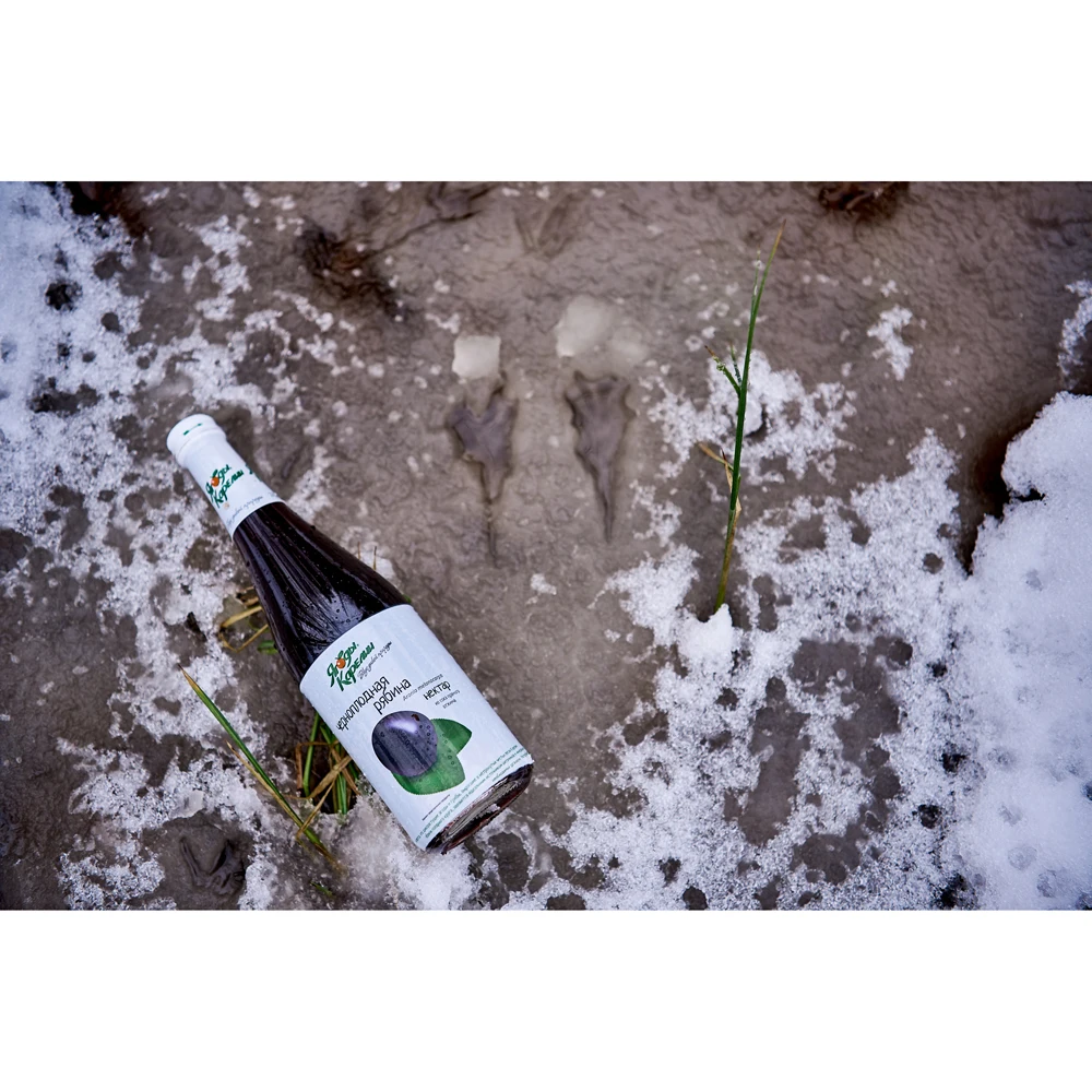 Quality organic aronia nectar in glass bottles, soft drinks