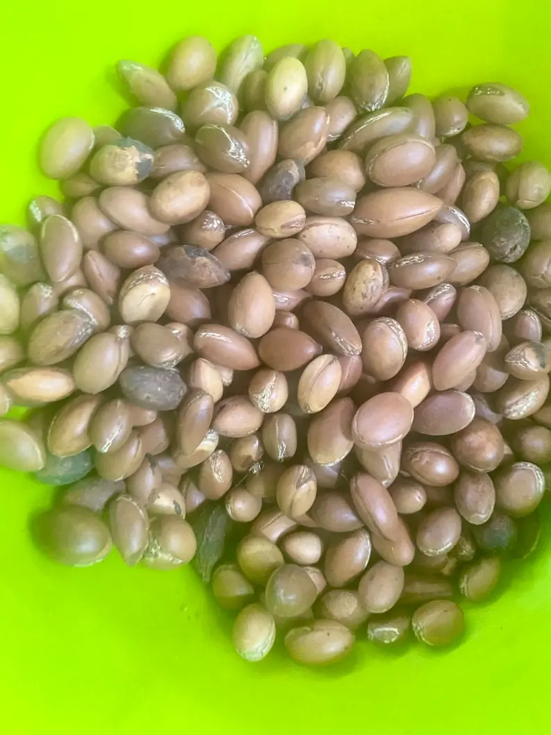 Органическое марокканское аргановое масло USDA сертифицированное 100% чистое холодное прессование увлажняющее средство премиум класса для Dr