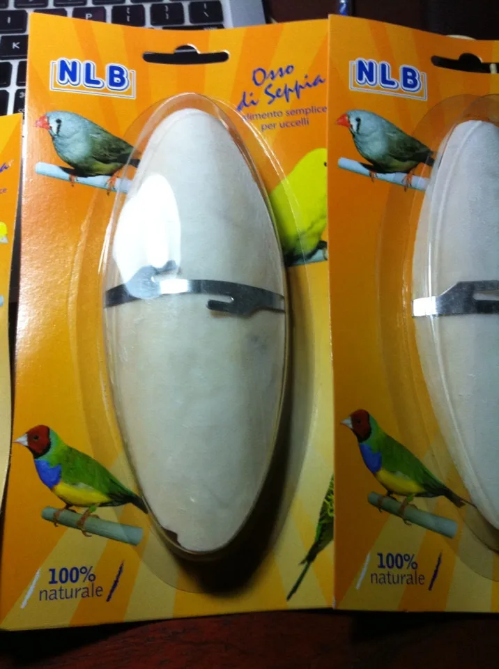 Вьетнам сушеные кости для морской слепки/кости рыбы-аксел + 84 38 776 0892