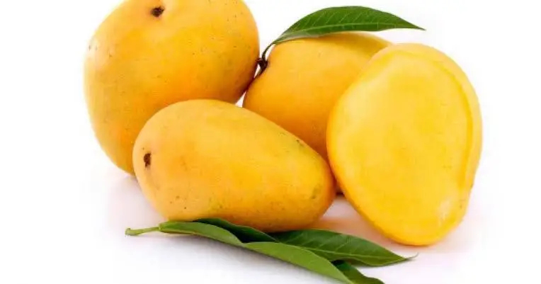 High Quality Fresh Fruit Ataulfo Mango
