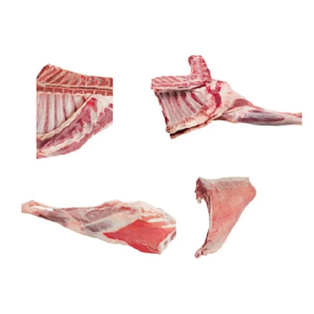 Frozen Fresh Halal Lamb Meat/ Fresh Frozen Sheep Goat Lamb Meat /Fresh Frozen Goat Lamb Sheep Meat