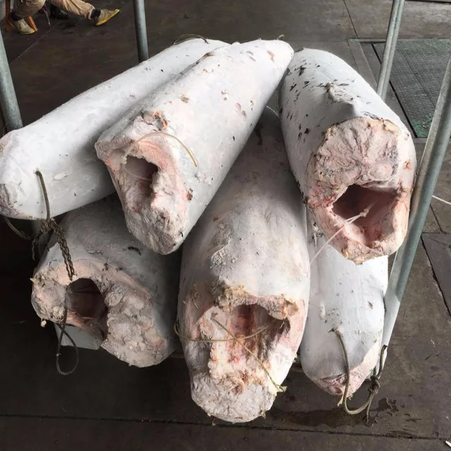 High Quality Frozen Seafood Swordfish For Sale