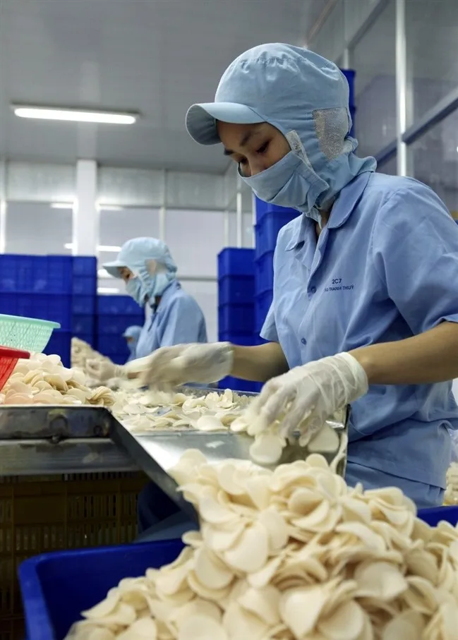  Оптовая продажа крекеров-креветок из Вьетнама