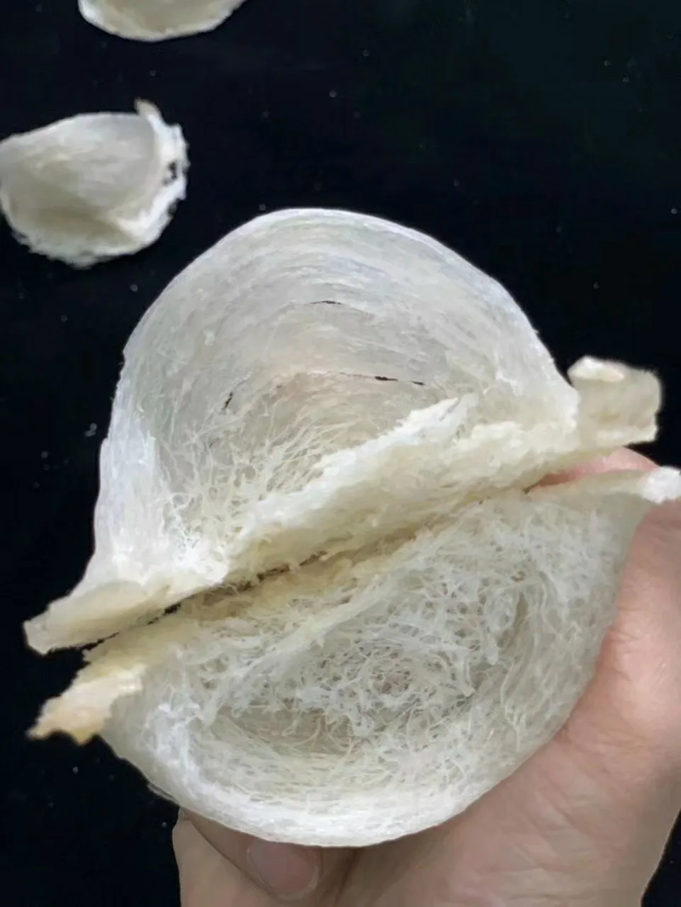 
High Quality Low-fat Protein Bird Nest Good For Health From Salanganes Vietnam for Export 