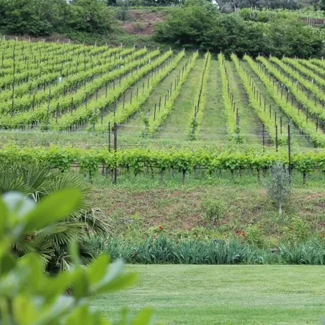 Итальянское высококачественное игристое вино спиртовые напитки 6lt сверкающее Италия