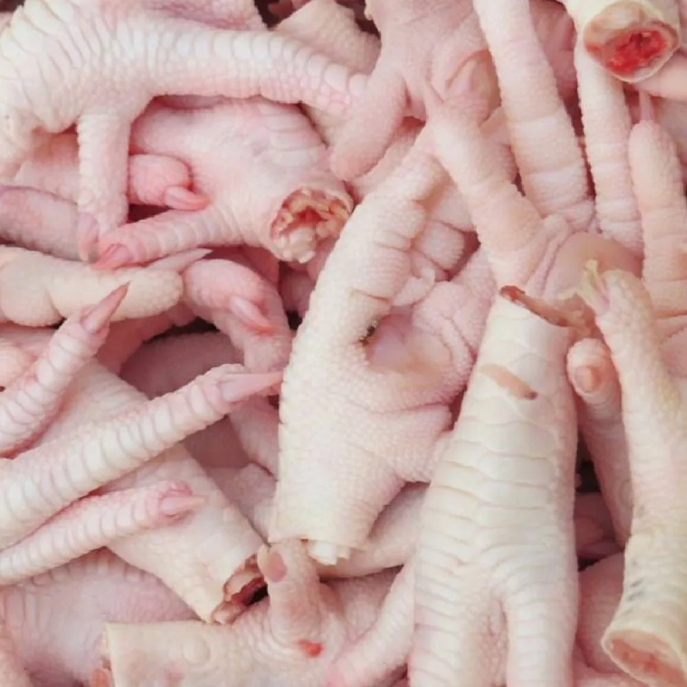 Approved SIF Frozen Chicken Feet_ SIF number 490