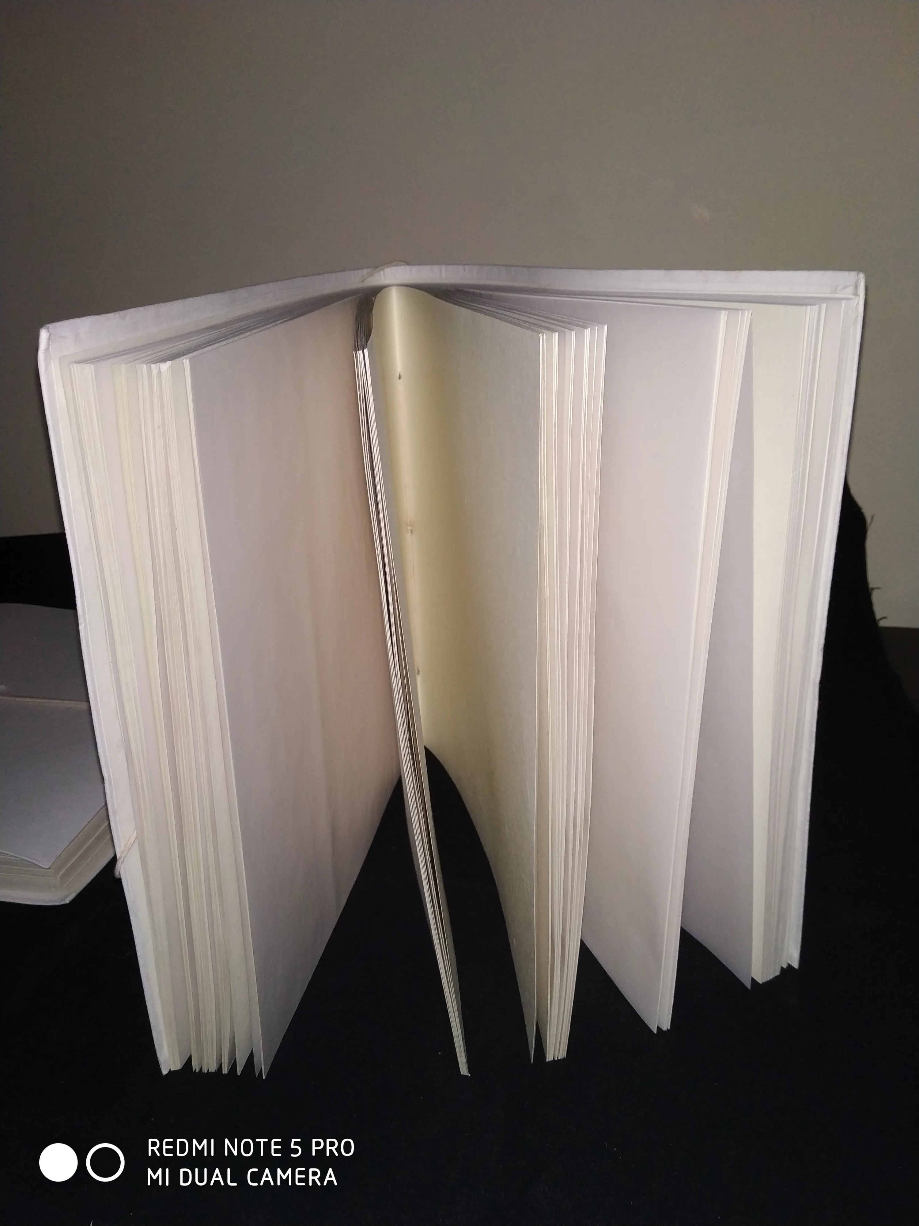 Eco Friendly Paper Photo Albums