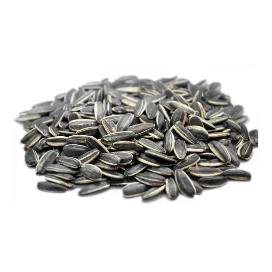 Sunflower seeds suppliers in Ukraine