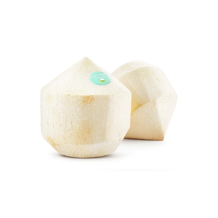 
720 - 900 g Weight Carton Packing coconut fresh coconut young coconut- cocobe export from Thailand 