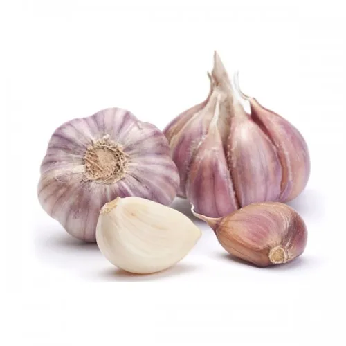 Fresh Garlic Price Bulk Garlic for Sale Garlic from China Factory Pure White Style Packing Organic Weight Origin Type Size Rough