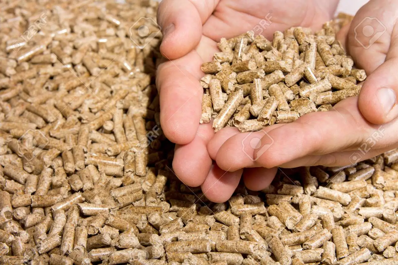 Buy Wood Pellets Biomass Fuel From South Africa
