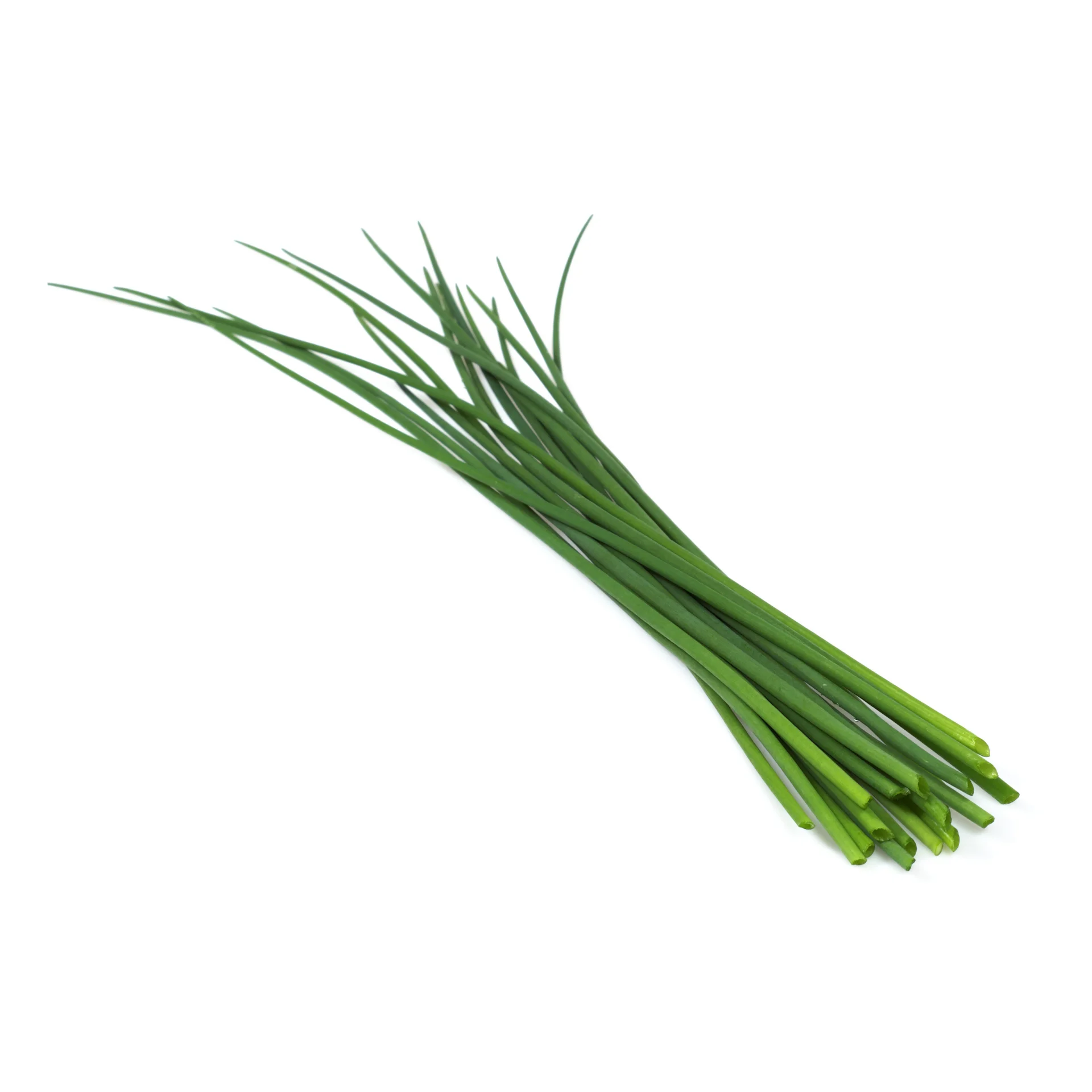 Chives- High quality