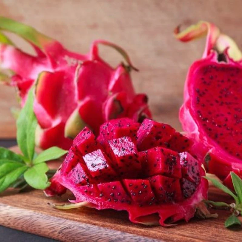 
Buy Fresh Dragon Fruit/ Pitaya With Good Price Origin Vietnam /KATIE N +84352310575 