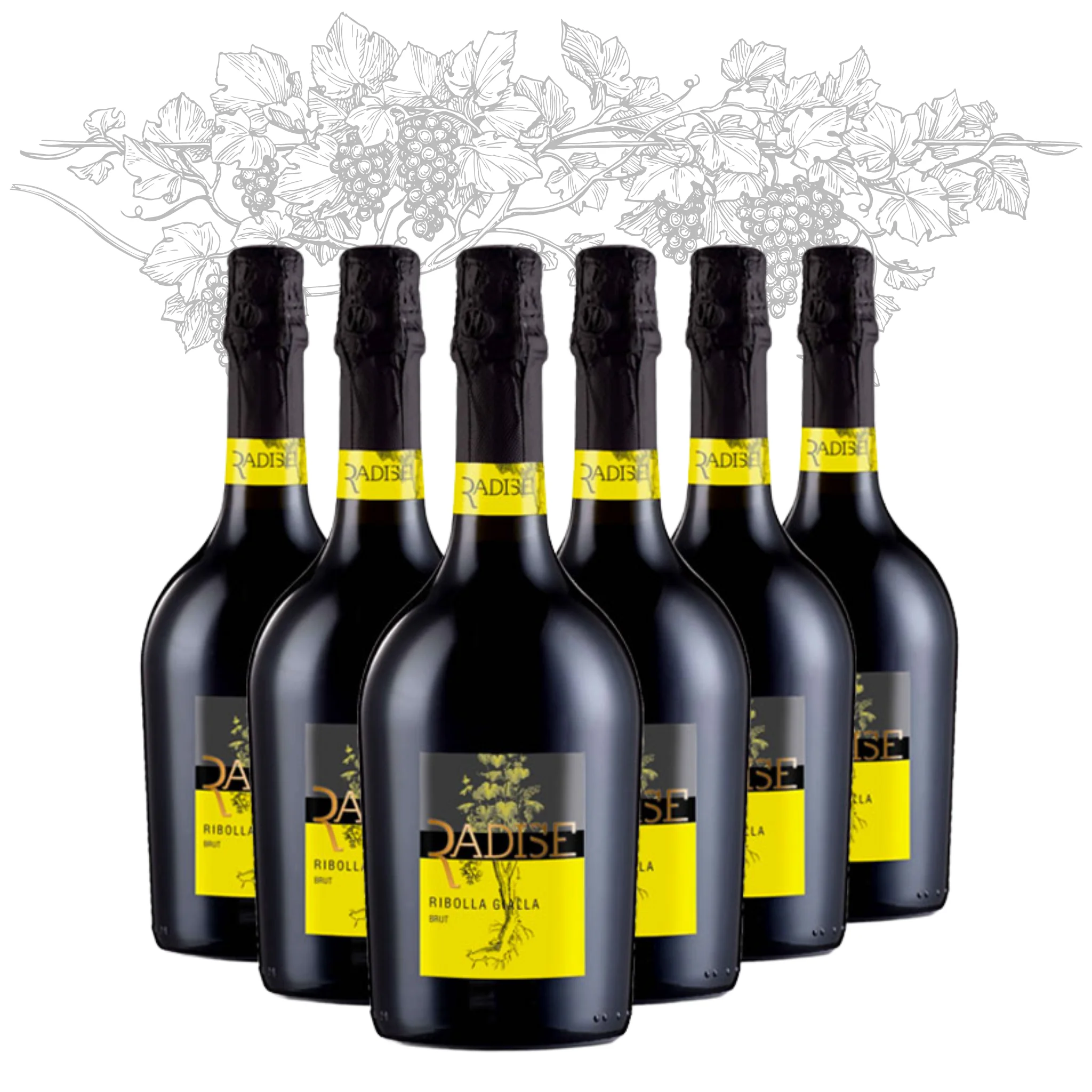 Premium Italian Spumante Extra Dry Sparkling WIne  - Radise - bottles 750 ml alcohol 11% for export