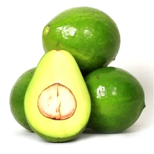 AVOCADO HASS FRESH Aguacate PALTA Fresh Fruit Hass Avocados from Mexico Premium Box All Size Calibers