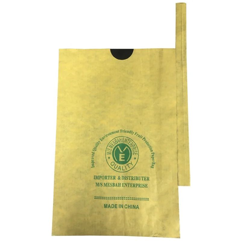 Manufacturer supply wholesale Bangladesh fruit paper bag mango growing bag fruit protection growing bag