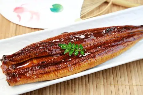 Good quality japanese delicious frozen smoked roasted eel grade One China