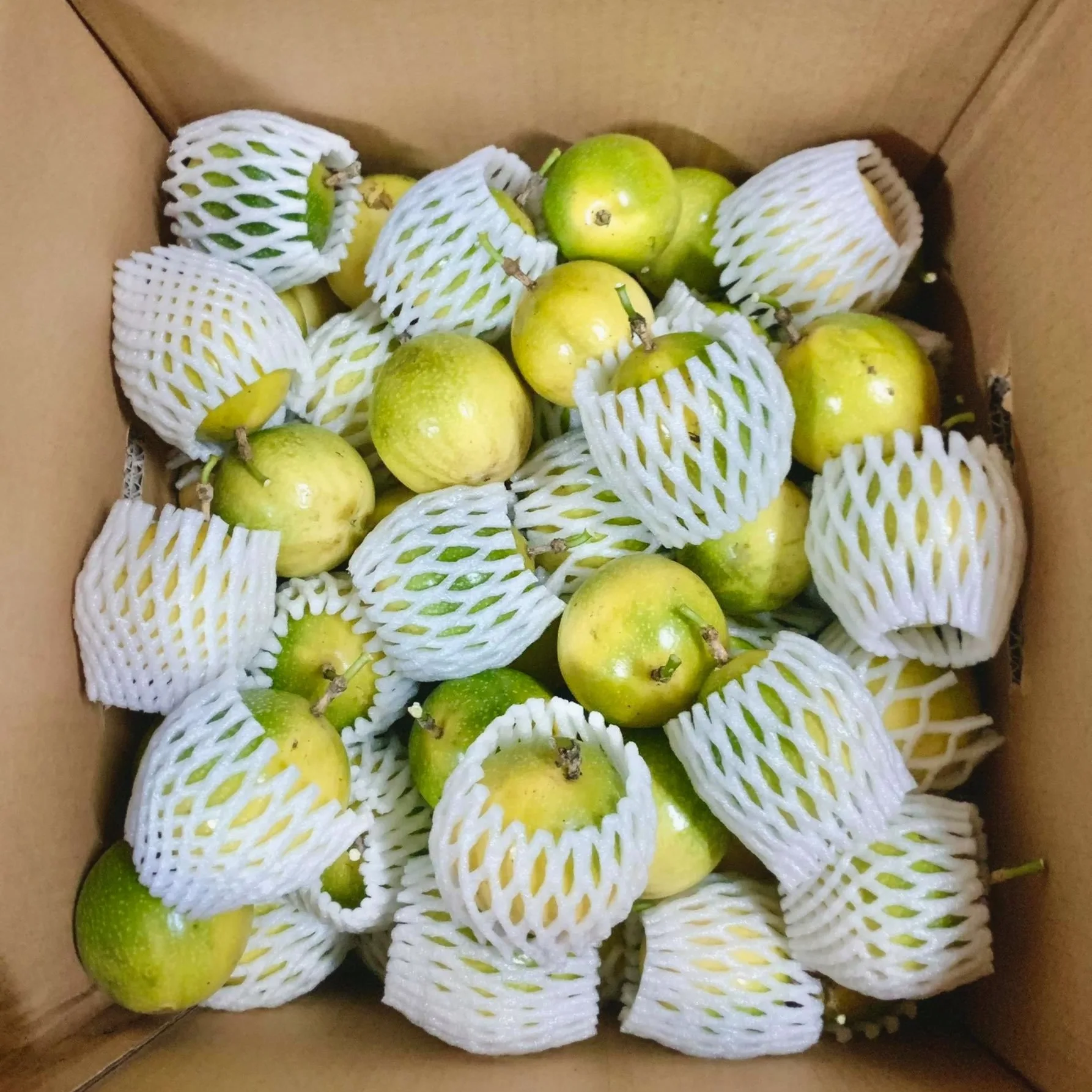 BEST SELLER - Fresh PASSION FRUIT Vietnam for export with standard quality and best price