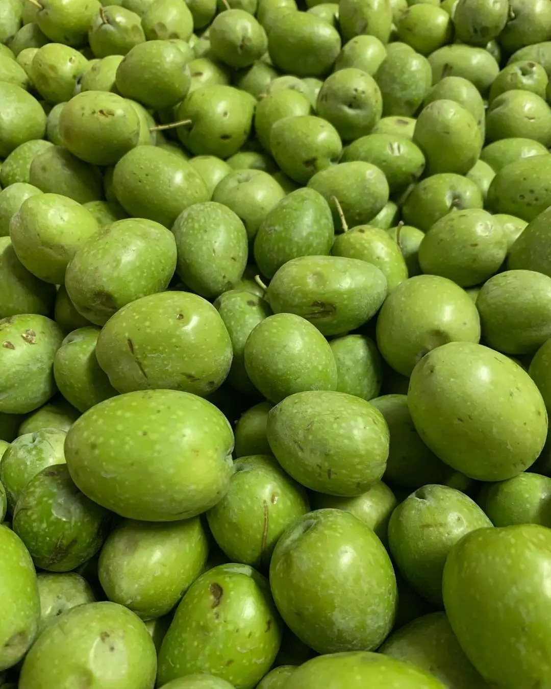 
 Лучшие/свежие зеленые оливки  