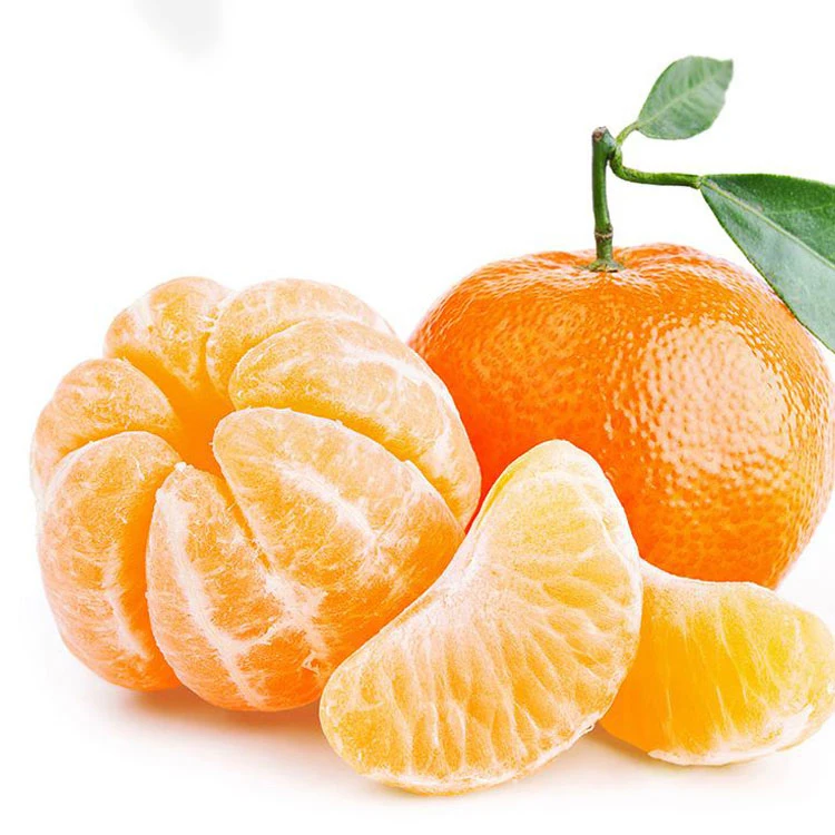 Hot Sale Fresh Sweet High Quality Mandarin Orange Kinnow form Sargodha Pakistan