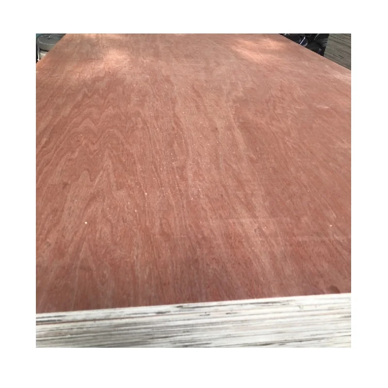 18mm Bintangor Plywood Commercial Plywood Cheap Plywood From Vietnam Manufacturer