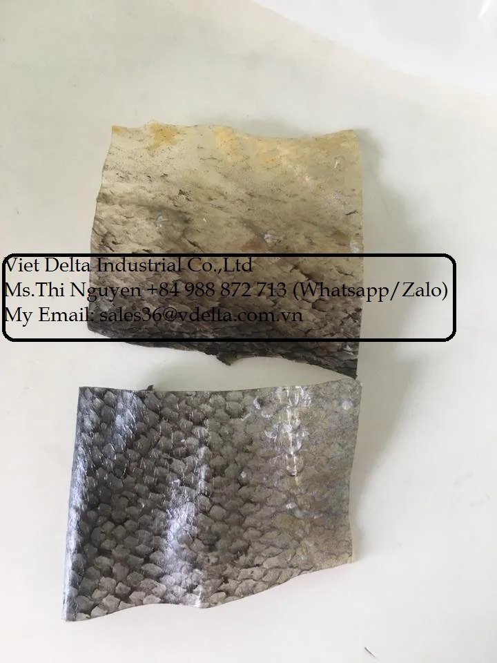 Salmon Skin Snack / Fish Skin Snack / Dried Salmon Skin High Quality From Vietnam (Ms.Thi Nguyen +84 988 872 713)