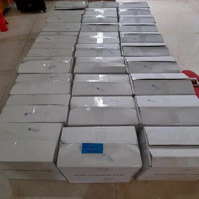 TPN, Broken Cashew Nuts Vietnam TPN Raw Cashew Kernels Raw + Dried 10000 Kgs Grade WW 320 a Grade Natural Color Natural Sweet