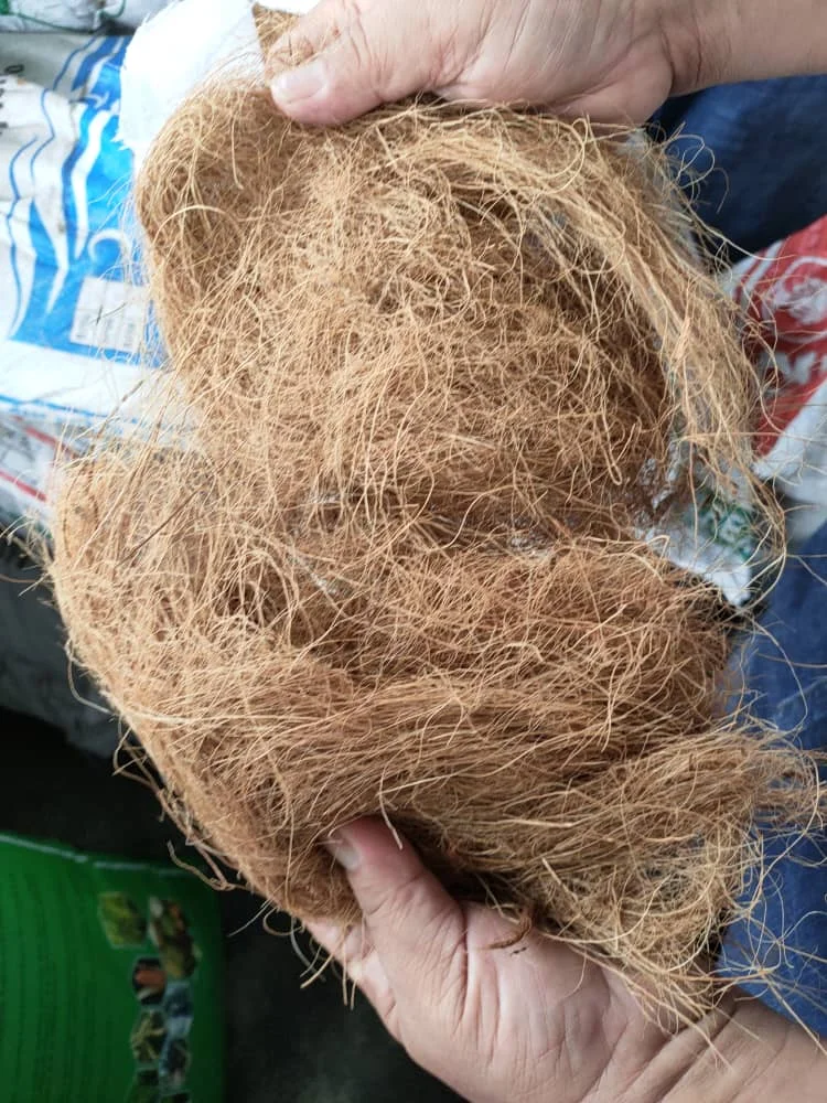 Cocopeat мелкое кокосовое волокно хорошего качества для дома и улицы Садовый цветок декоративное дерево растение почва