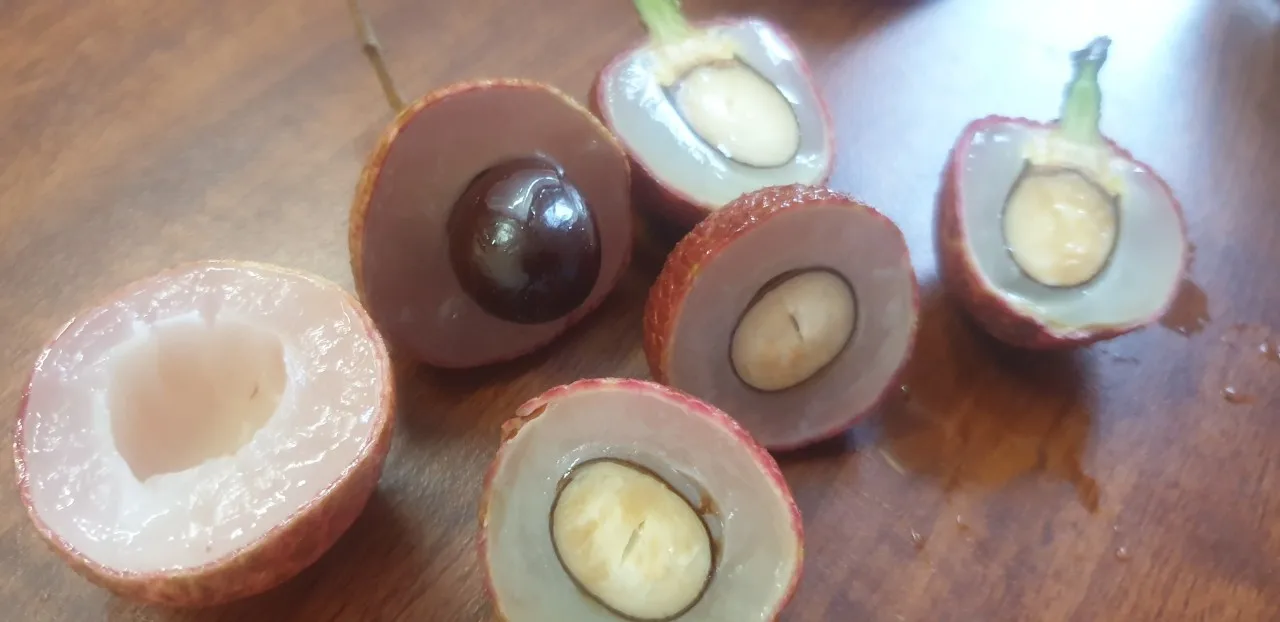 Личи в сиропе произведенном во Вьетнаме хорошо для сердца продажа по хорошей цене экспортного рынка