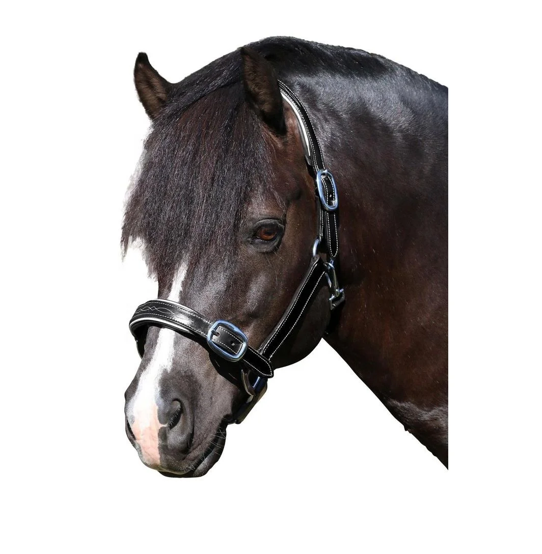 Модная прошитая кожаная лошадиная лямка на шее Высококачественная индийская барабанная окрашенная кожа с латунной пряжкой мягкая подкладка из коровьей