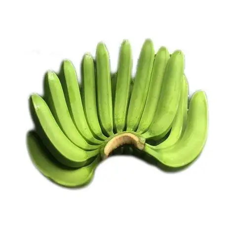 Fresh Cavendish Banana - 100% High Quality