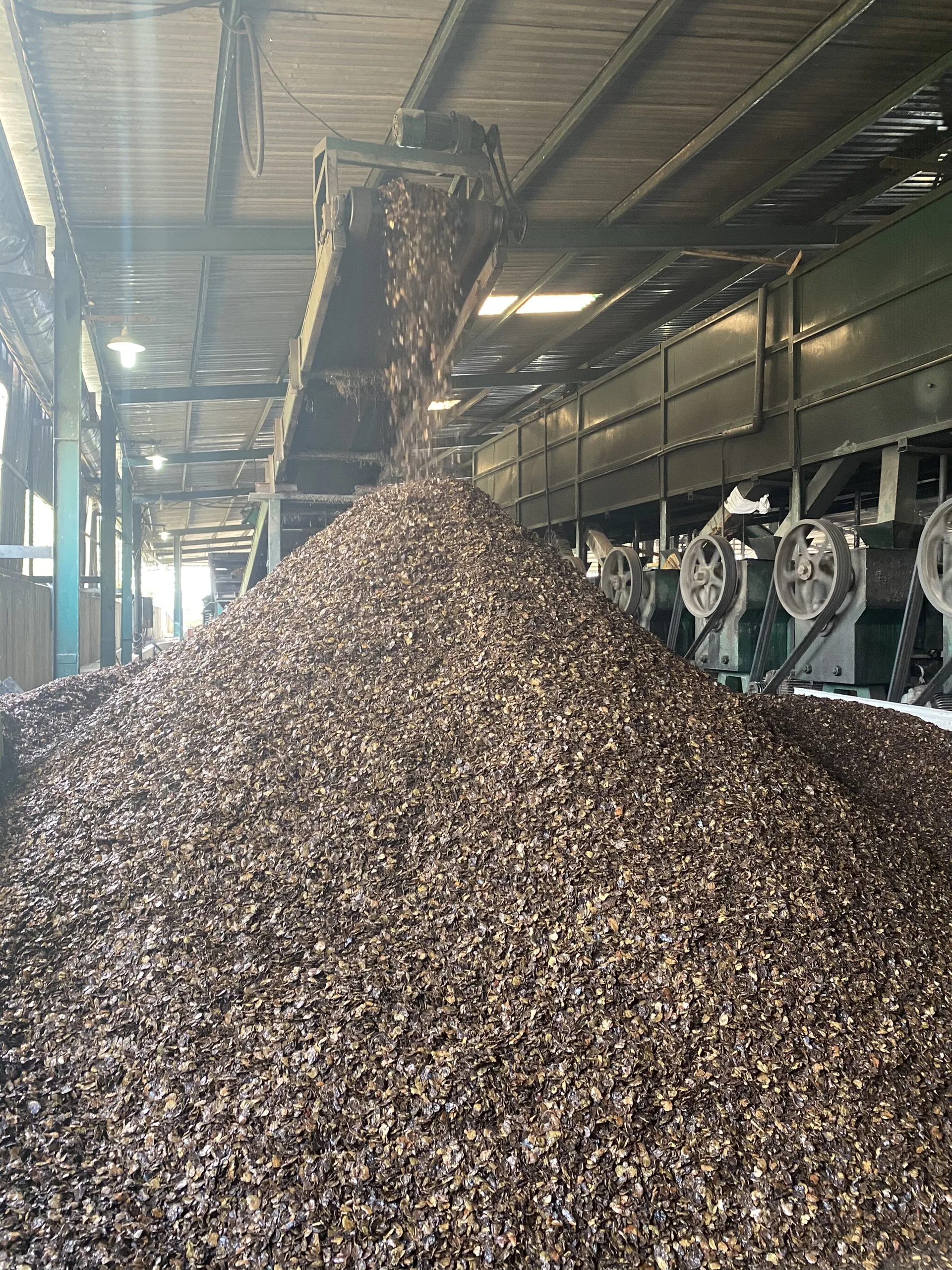 
Cashew Shell Extraction For Fuels Fertilizer 