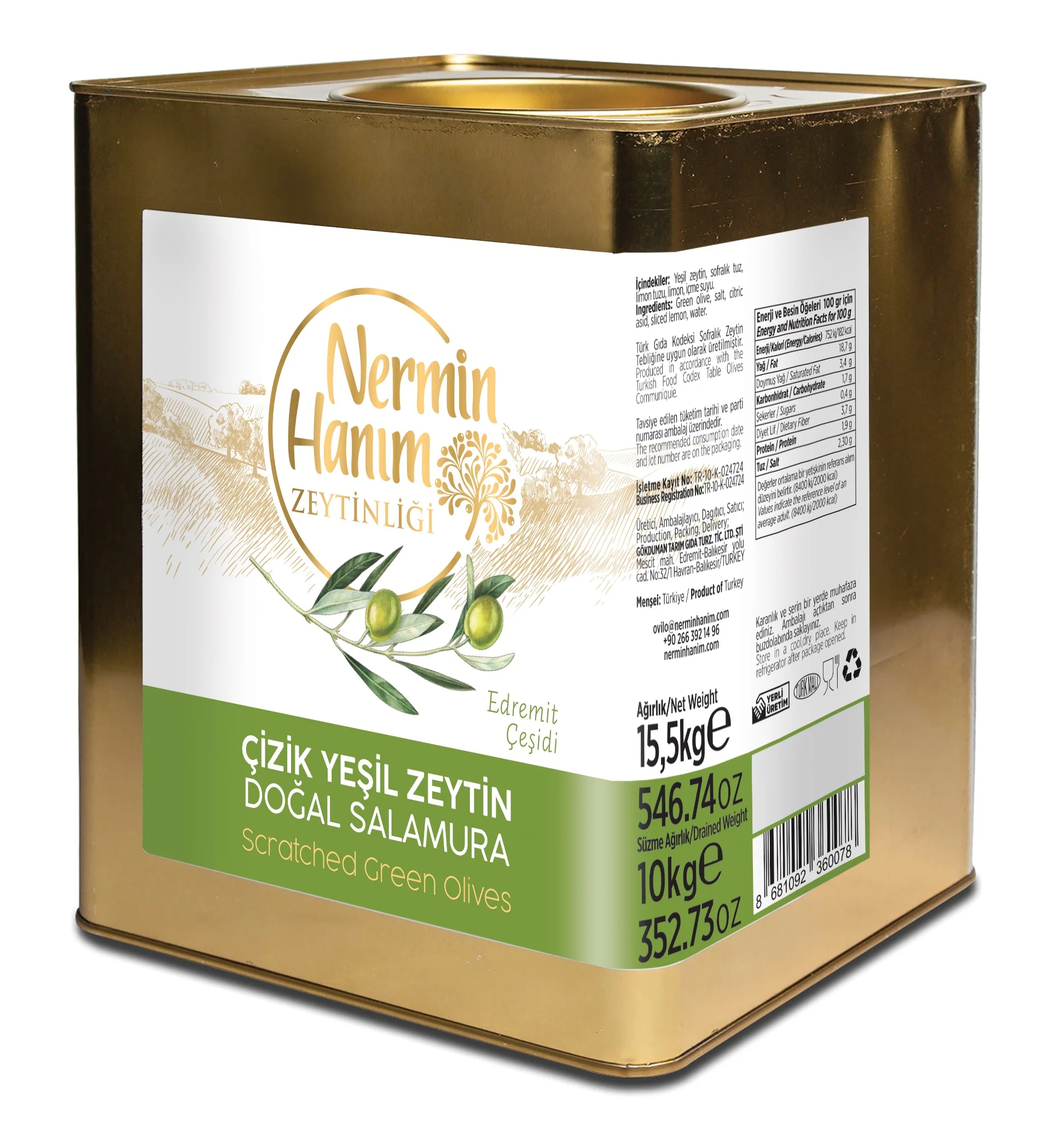 Best Quality 100% Natural Fresh Green Olives Healthy