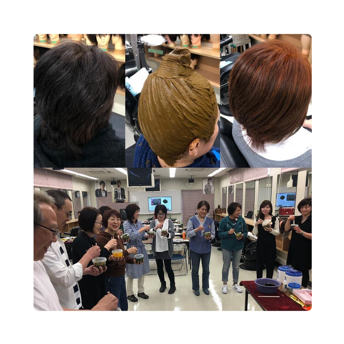 No Ammonia No PPD Natural Hair Coloring Henna Powder No Chemicals