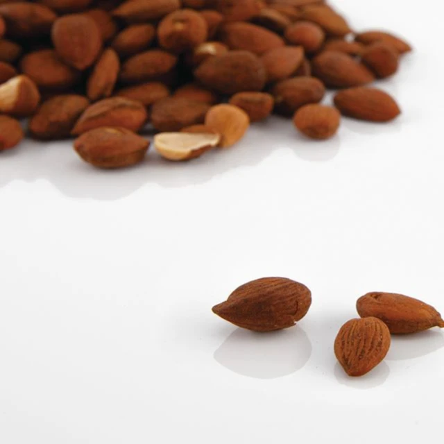 
Organic Apricot Seeds Vitamin B17 B15 Source Bitter Apricot Kernels Agolyn High Quality Good Taste Apricot Kernel/almond Nuts 